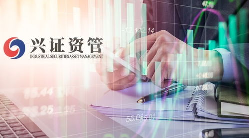 兴证资管首只公募化产品起航 自有资金跟投与全员参与下的投资风格解析