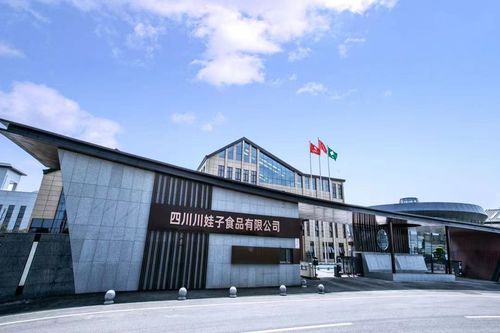 百位行业代表齐聚川娃子 共话食品智造新味来，明星工厂引领行业升级